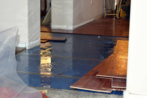 Professional Basement Flood Cleanup technician working in Bonduel, WI